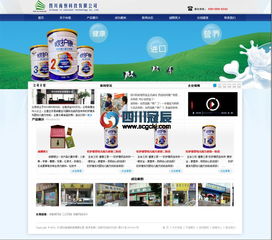 四川冠辰科技 成都網站建設與網絡營銷策劃的一站式解決方案專家